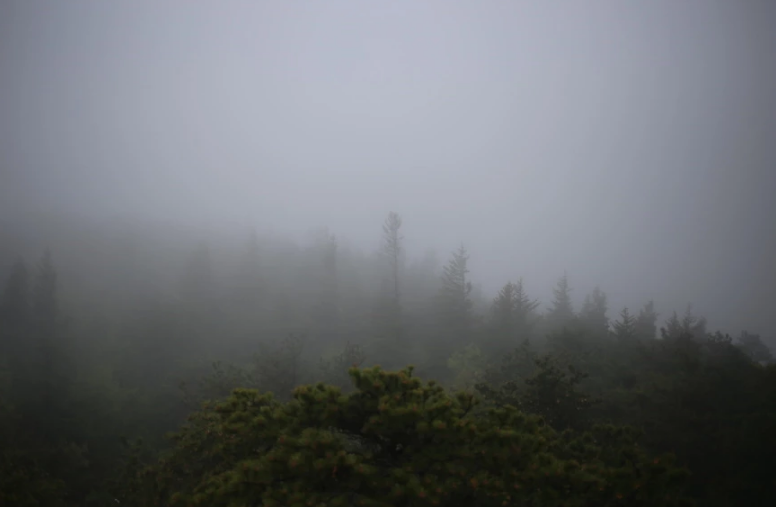 Carousel Image number 8